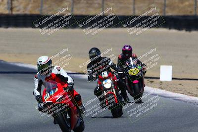 media/Jun-24-2022-TrackDaz (Fri) [[aa6850b51f]]/Group B/1145am (Turn 4)/